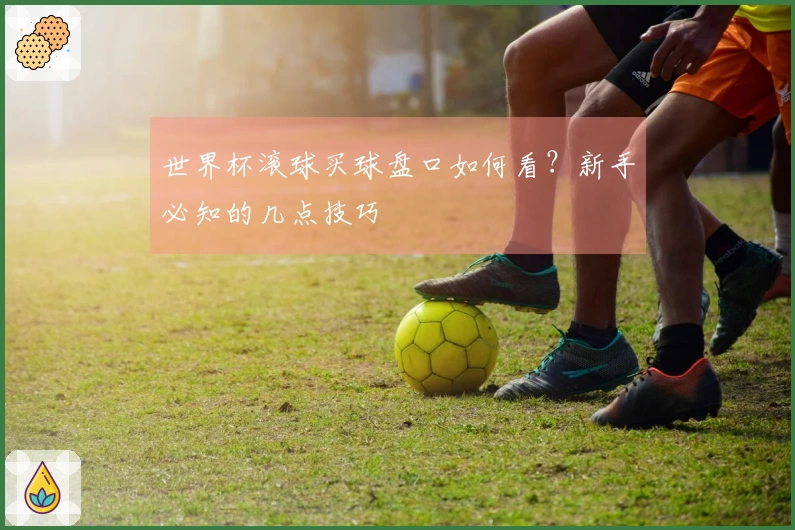 世界杯滚球买球盘口如何看？新手必知的几点技巧