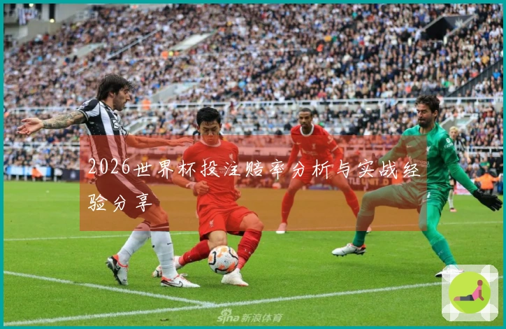 2026世界杯投注赔率分析与实战经验分享