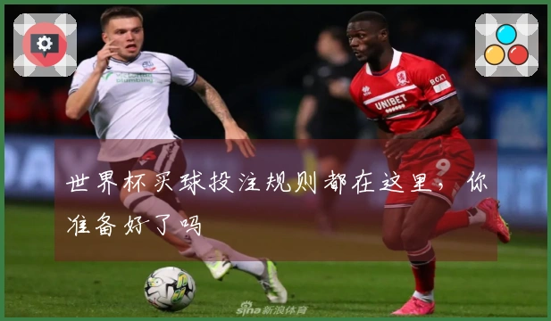世界杯买球投注规则都在这里，你准备好了吗