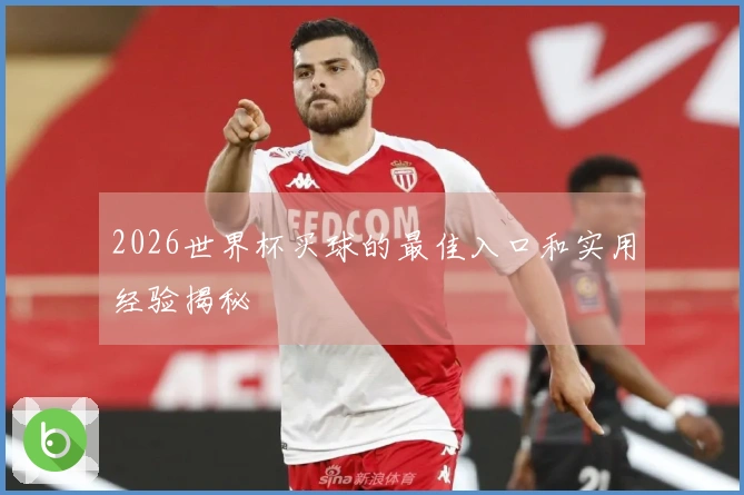 2026世界杯买球的最佳入口和实用经验揭秘