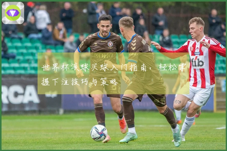 世界杯滚球买球入门指南，轻松掌握下注技巧与策略