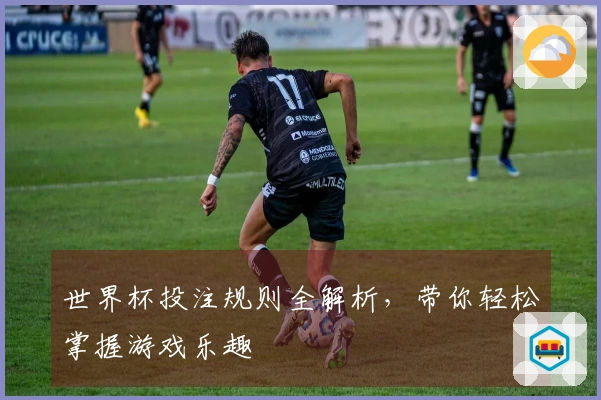 世界杯投注规则全解析,带你轻松掌握游戏乐趣
