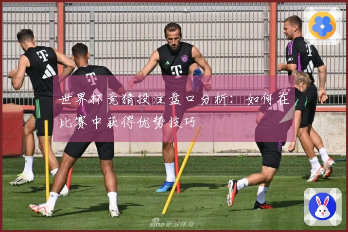 世界杯竞猜投注盘口分析：如何在比赛中获得优势技巧