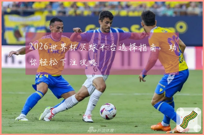 2026世界杯买球平台选择指南，助你轻松下注攻略