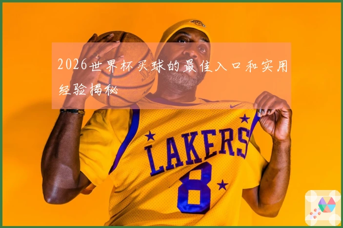 2026世界杯买球的最佳入口和实用经验揭秘