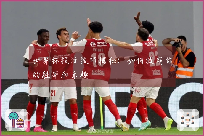 世界杯投注技巧揭秘：如何提高你的胜率和乐趣