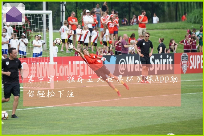 掌中宝：推荐五大世界杯买球App助你轻松下注