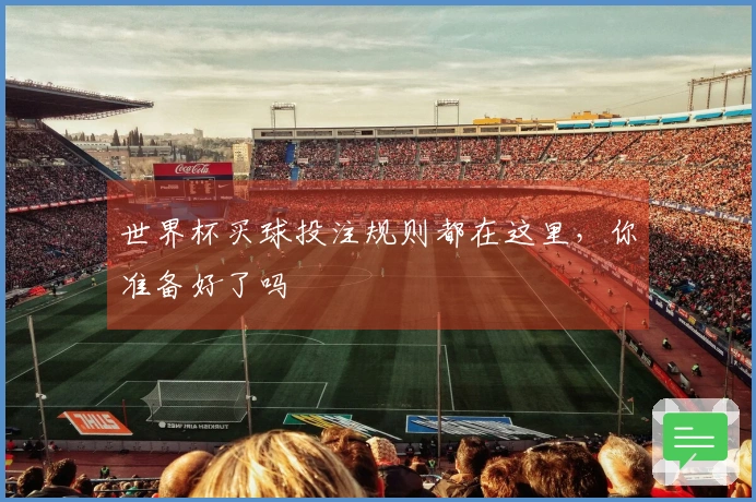 世界杯买球投注规则都在这里，你准备好了吗